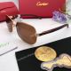 Cartier Double Bridge Titanium Sunglasses - Exact Replica (6)_th.jpg